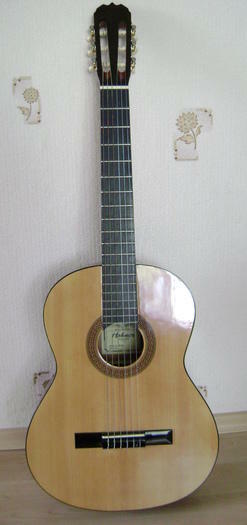 Klasikinė "Hohner" gitara