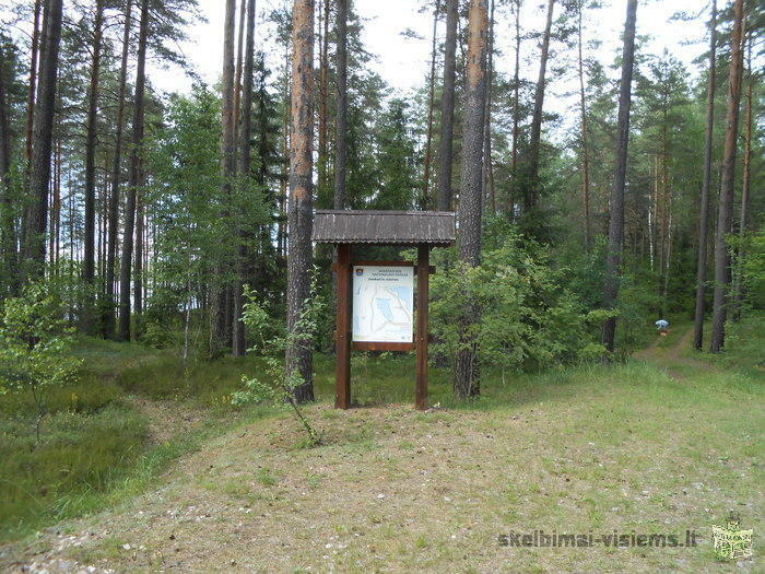 Parduodama 0,65 ha miško žemė Aukštaitijos nacionaliniame parke