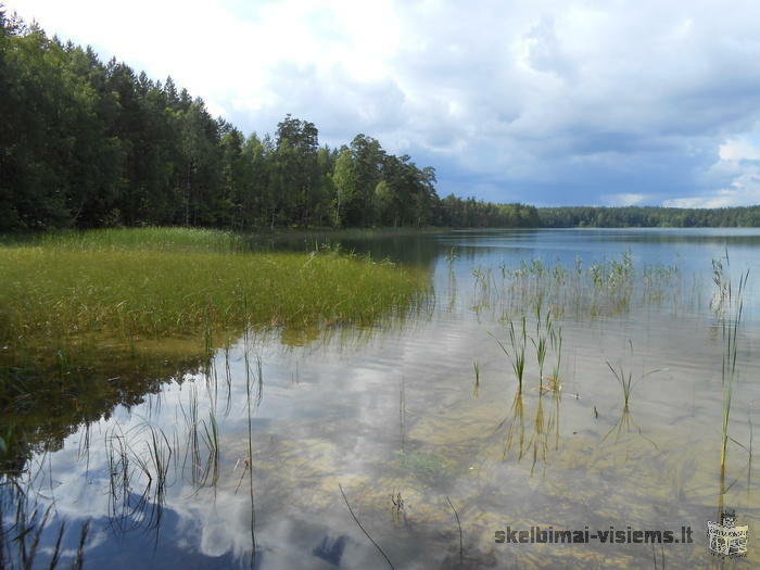 Parduodama 0,65 ha miško žemė Aukštaitijos nacionaliniame parke