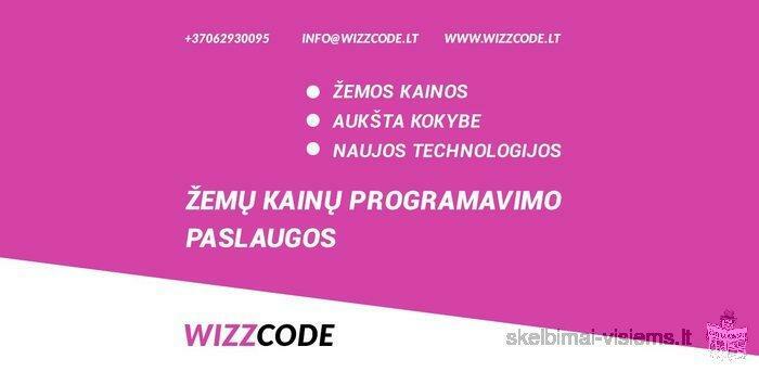 WIZZCODE - žemų kainų programavimo paslaugos