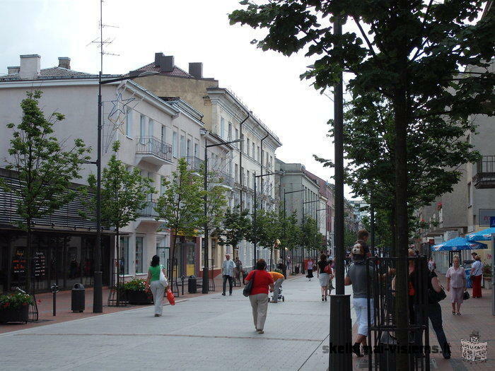 Dviejų kambarių butas Šiaulių miesto centre