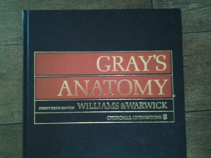 GRAY'S Anatomy