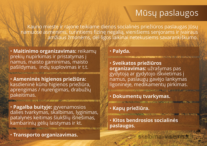 Dienos socialinės paslaugos į namus