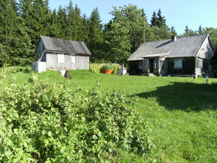 Sale Medsėdžių rural homestead