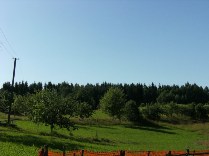 Sale Medsėdžių rural homestead