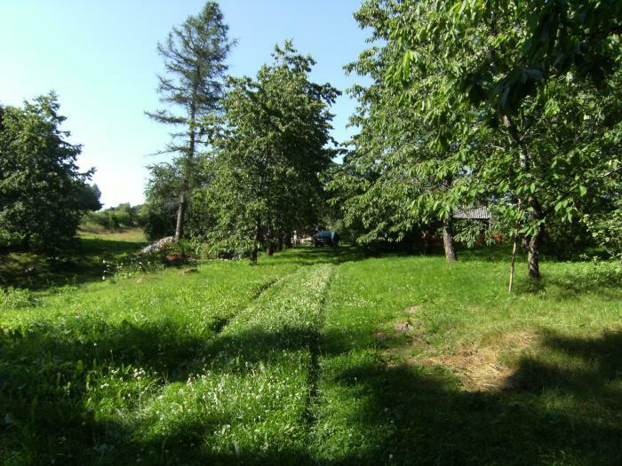 Sale Medsėdžių rural homestead