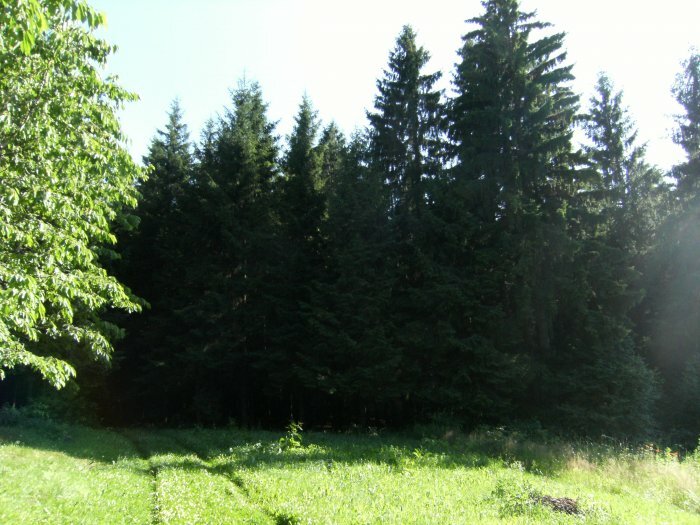 Sale Medsėdžių rural homestead