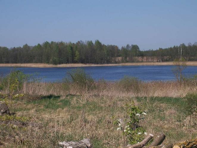 Sell homestead on the lake shore