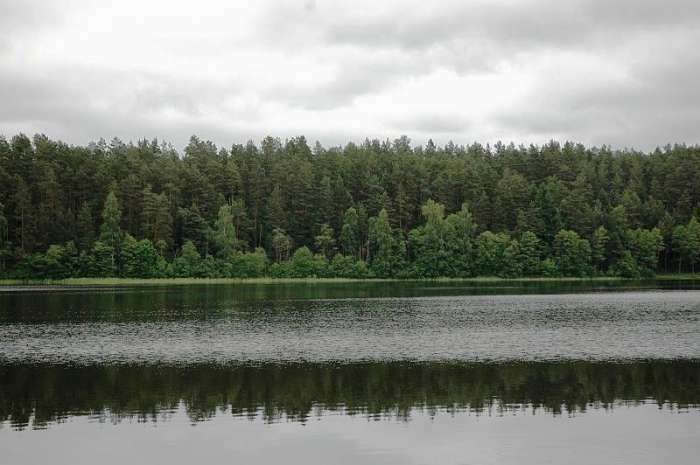 Holiday at the lake