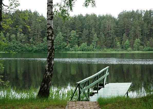 Holiday at the lake