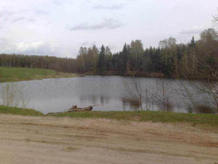 Žemės sklypas Palomenės km. Kaišiadorių raj. prie vandens