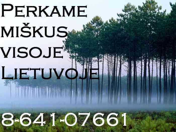 PERKA MIŠKĄ SU ŽEME AR IŠSIKIRTIMUI VISOJE LIETUVOJE. BRANGIAI. 8-641-07661