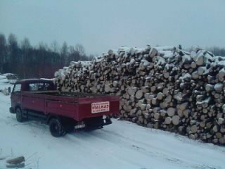 дешево дрова лиственных пород