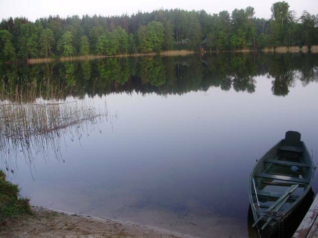 Puikus ir nebrangus poilsis sodyboje šalia ežero Utenos r.