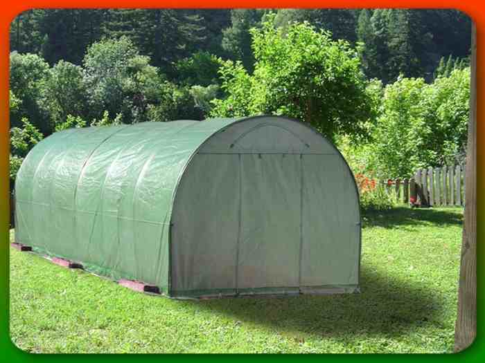 3 x 8 m Pollytunnel with free shipping