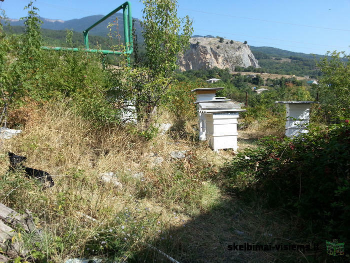 Red Rock - Гостевой дом в Крыму - Украина