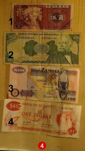 Įvairių šalių banknotai