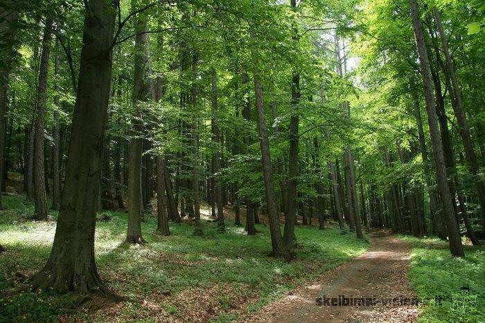 UAB "TARUKAS" PERKA MISKUS VISOJE.