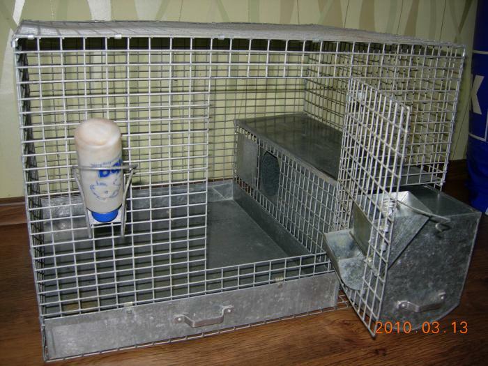 Chinchilla cage