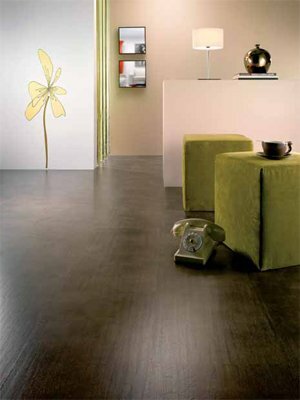 Naujo dizaino laminate flooring
