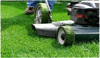 services de fertilisation de la pelouse et le découpage