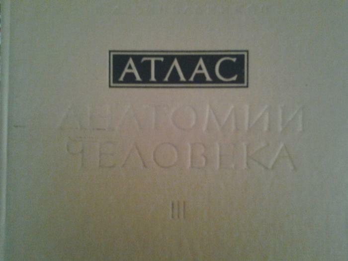 Atlas anatomii čeloveka, 3 tomas