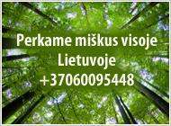 Brangiai perkame brandų mišką visoje Lietuvoje