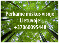 Brangiai perkame mišką Vilniaus apskr.