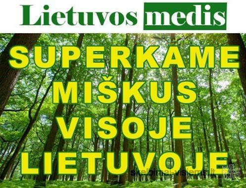 Lietuvos medis” brangiai perka miska visoje Lietuvoje