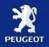 Peugeot ir kitu prancuzisku automobiliu naujos auto dalys