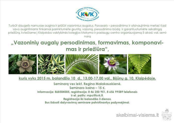 Seminaras „Vazoninių augalų persodinimas, formavimas, komponavimas ir priežiūra“