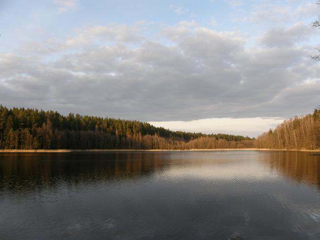 Продаётся настоящий хутор усадьба в лесу у воды- лесная река рядом озёра на Белорусском Поозерье. В